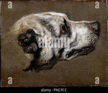 Head of a Hound. Date/Period: Before 1674. Painting. Oil on canvas Oil. Height: 278 mm (10.94 in); Width: 352 mm (13.85 in). Author: BOEL, PIETER. PETER BOEL. Stock Photo