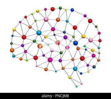 Human brain isolated on a colored background. Anatomical 3D model of ...