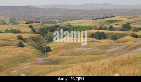 gently rolling hills with yellow prairie grasses, green trees and reddish colored sediments Stock Photo