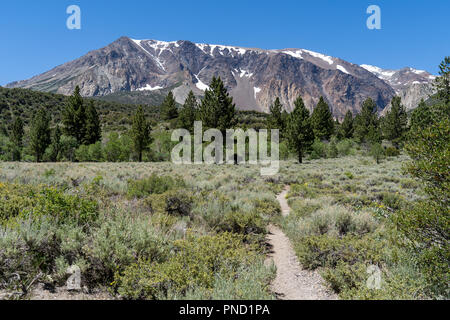 Hiking trail leads to Parker Lake in June Lake California in the Eastern Sierra Nevada mountains. Leading lines, Concept for happy trails Stock Photo
