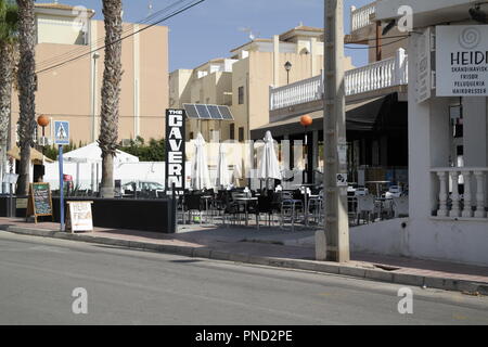 Centro Citrus Horizonte Stock Photo