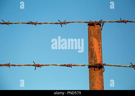 Two strands of rusty barbed wire attached to a post of a fence against a blue sky Stock Photo