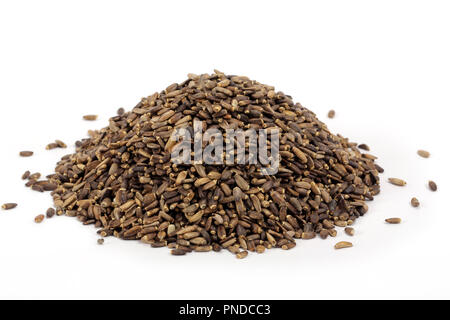 Seeds of a milk thistle on white background Stock Photo