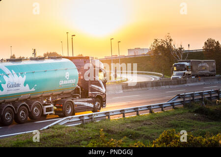 FAENZA (RA), ITALY - SEPTEMBER 20, 2018: truck with  GRANAROLO  logo running on highway Stock Photo