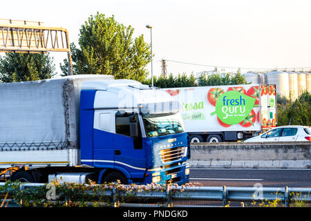 FAENZA (RA), ITALY - SEPTEMBER 20, 2018: truck with FRESHGURU  logo running on highway Stock Photo