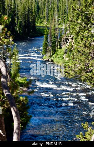 Lewis River rapids south of Lewis Falls Yellowstone National Park Wyoming USA
