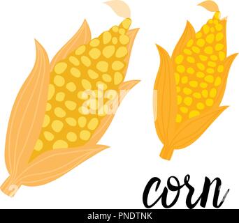 Cartoon Corncob Orange Vector ilustration isolated on white background. Stock Vector