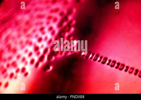 Binary code: digital language emerging from a numerical cloud Stock Photo