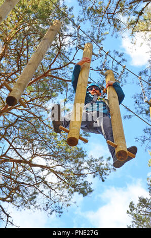 Young boy on top of a tree at Leith Hill in Surrey, england Stock Photo ...