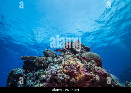 Small atoll. Yap island Federated States of Micronesia Stock Photo