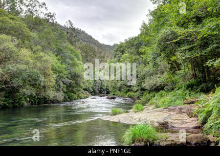 A landscape of the clear waters of the Eume river in a green dense thick forest, on the way to the Caaveiro Monastery, in Galicia, Spain Stock Photo