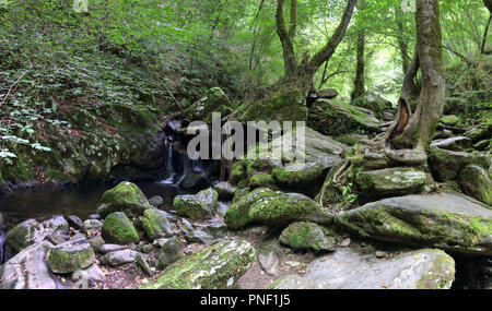 A moss covered rocky waterfall and some trees in the luxuriant thick Fragas del Eume forest, together with tress with roots in the rocks, Spain Stock Photo