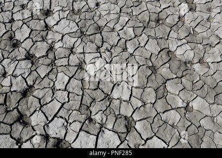 Dry cracked grey clay soil shot vertically with some dog footprints during a hot sunny day in the Mediano artifical lake in the Spanish Pyrenees Stock Photo