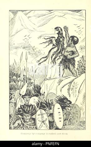 Archive image from page 192 of The anatomy, physiology, morphology and ...