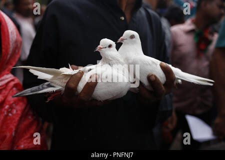 September 20, 2018 - Dhaka, Bangladesh - A man holds pair of pigeons for donates as he attendants a shrine to observe Ashura at Hussaini Dalan. (Credit Image: © MD Mehedi Hasan/ZUMA Wire) Stock Photo