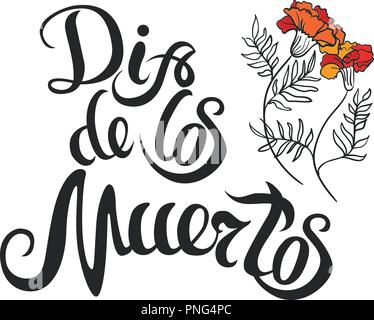 dia de muertos hand drawing lettering and marigold for day of death Stock Vector