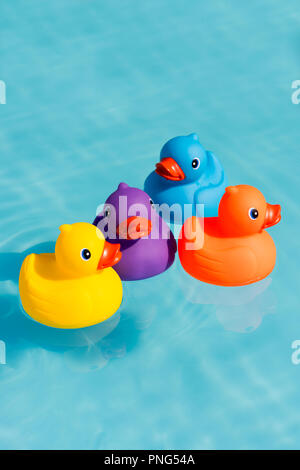 Four colourful rubber ducks, a family of ducks, yellow, blue, purple and orange, swimming in the water in a paddling pool Stock Photo