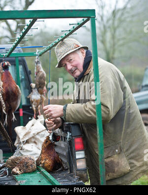 man hanging shot pheasants on game cart Stock Photo