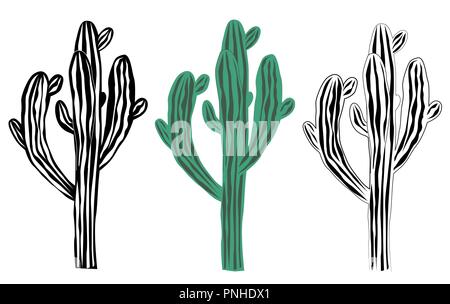 Old saguaro cactus isolated on white background, Carnegiea gigantea vector illustration. Black and white graphic and color set Stock Vector