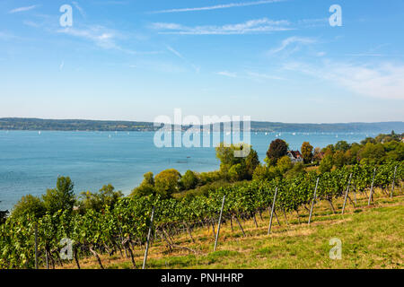 View of wonderful the Lake Constance from a vineyard by Birnau in front of bright blue sky Stock Photo