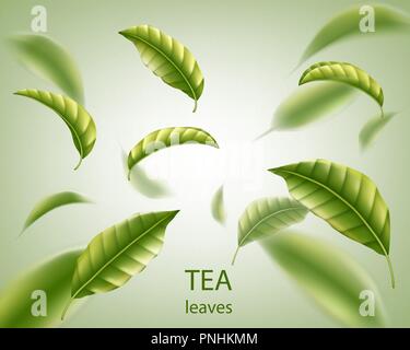 Realistic tea leaves background. Green leaves tea whirl in the air for design, advertising and packaging. Vector illustration. Stock Vector