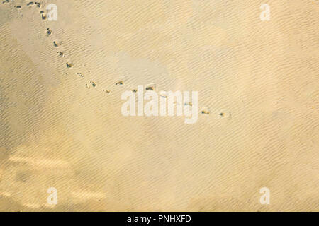 top aerial view of footsteps footprints on sand dunes in desert Stock Photo