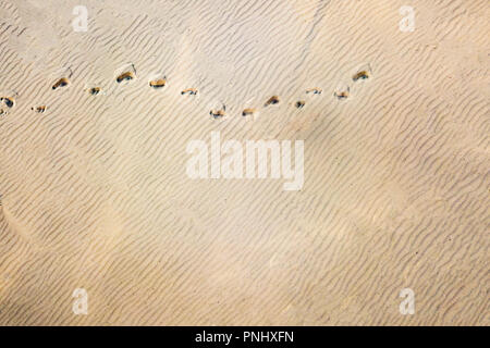 top aerial view of footsteps footprints on sand dunes in desert Stock Photo