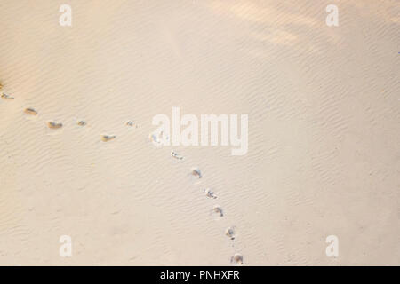 top aerial view of footsteps footprints on sand dunes in desert Stock Photo