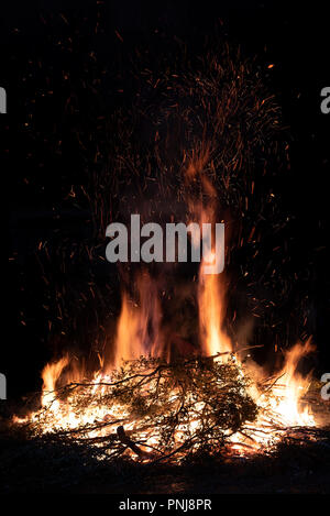 Branches on fire. Flames and sparkles on black background Stock Photo