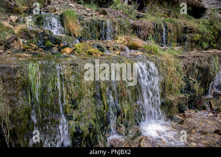 Millennial cold forest creeks, little waterfalls over the rocks with slippery moss Stock Photo