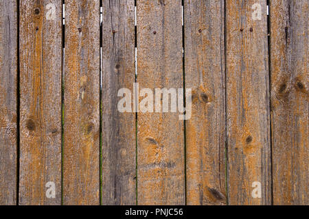 Fragment of old wooden rural fence of knotted planks with peeled paint and rusty nails Stock Photo