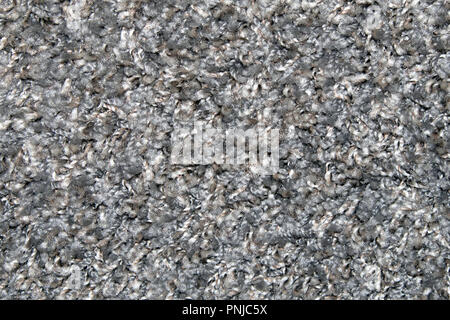 Gray synthetic short-napped floor carpet covering, may be used as background or texture