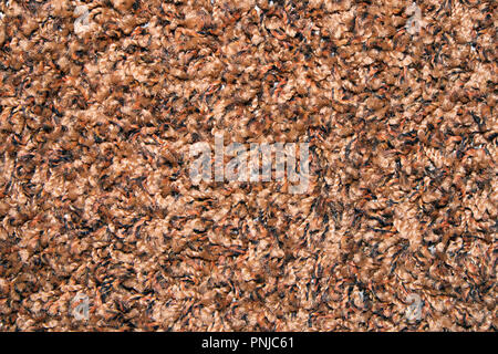 Brown synthetic short-napped floor carpet covering, may be used as background or texture