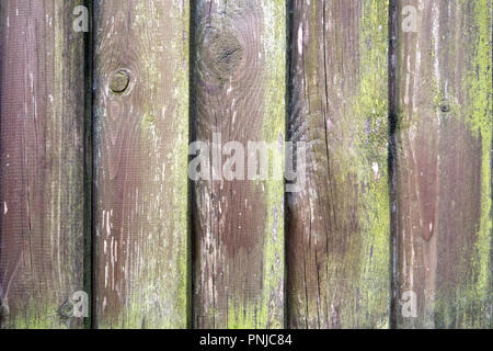 Old molded wooden fence of rough planks overgrown with green moss Stock Photo