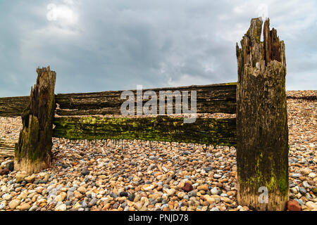 Some of the old sea defences in the shingle at the entrance to Rye harbour, East Sussex, England. 30 August 2018