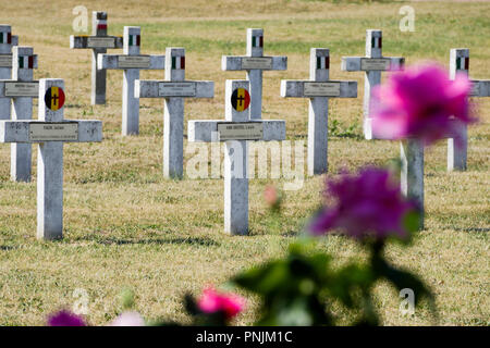 Belgian graves, National Military necropolis, La Doua, Villeurbanne, France Stock Photo
