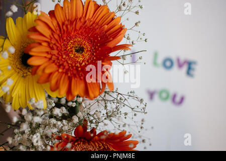 colorful letters i love you and gerbera bouquet - love background Stock Photo