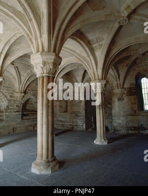 CASTILLA-LEON. CARRACEDO DEL MONASTERIO. MONASTERIO DE SANTA MARIA DE CARRACEDO. Conserva elementos de diversos estilos. Vista de la SALA CAPITULAR, cubierta con bóveda de crucería tardogótica (S. XVI) y sostenida por columnas con capiteles decorados con motivos animales y vegetales. Comarca de El Bierzo. Provincia de León. España. Stock Photo