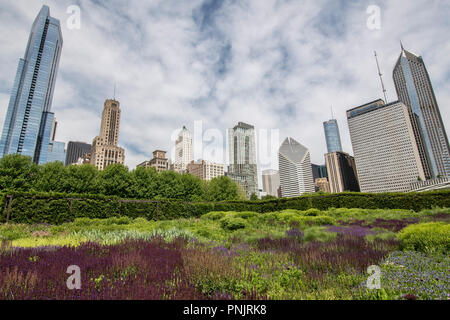 Lurie Garden with skyline, Downtown Chicago, IL. Stock Photo