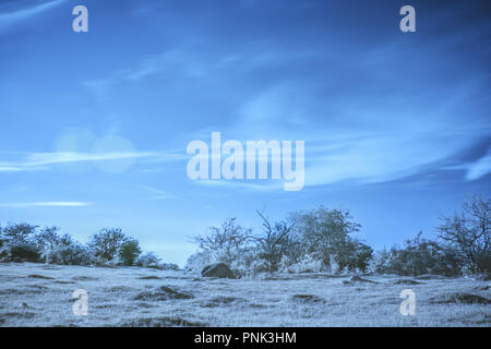 A nature scene captured in an infrared photograph Stock Photo