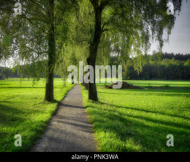 DE - BAVARIA/UNTER ALLGÄU: Dorschhauser Weg at Bad Wörishofen (HDR-image) Stock Photo