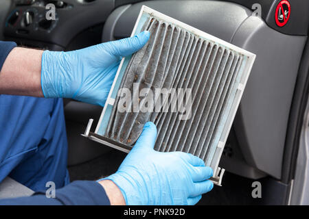 Auto mechanic,wearing protective blue gloves, showing dirty car cabin air  filter. Old car cabin pollen filter replacement Stock Photo - Alamy