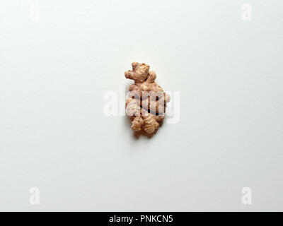 Isolated ginger root over a white background in studio. Stock Photo