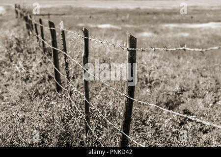 Black & white Sepia tone view of barbed wire fence; central Colorado; USA Stock Photo