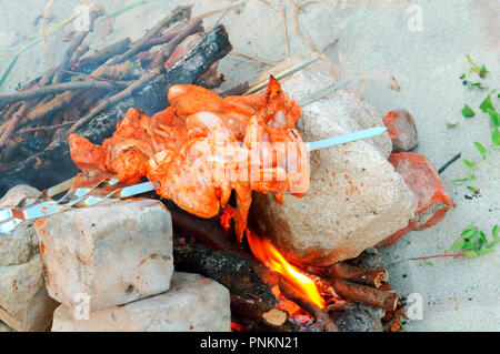 chicken is cooked on the fire, chicken wings fry on skewers on the fire Stock Photo