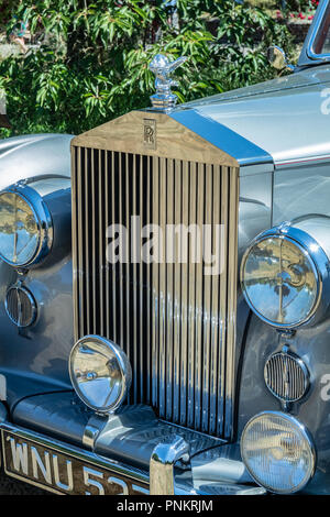 ROLLS ROYCE SILVER DAWN, 1954 front grill Stock Photo