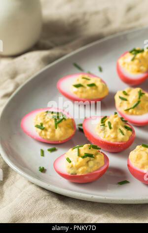 Homemade Pink Pickled Deviled Eggs with Chives Stock Photo