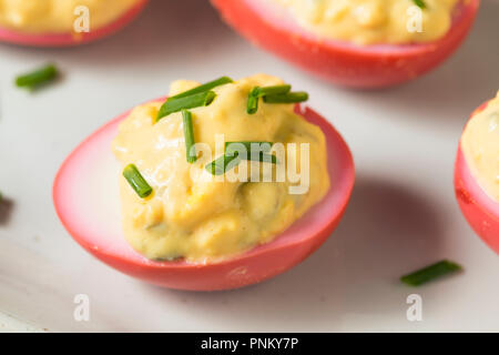 Homemade Pink Pickled Deviled Eggs with Chives Stock Photo