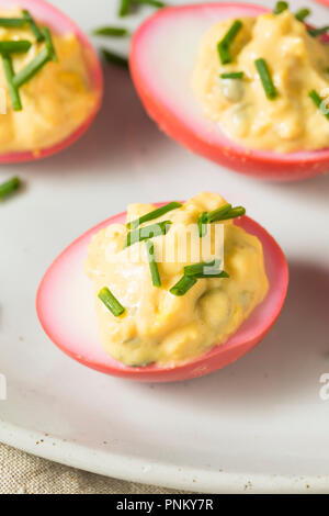 Homemade Pink Pickled Deviled Eggs with Chives Stock Photo