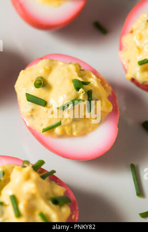 Homemade Pink Pickled Deviled Eggs with Chives Stock Photo